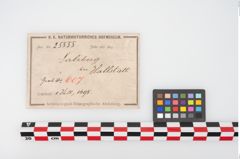 Etikett zu Bronzelappenbeil (NHMW-PRAE-025555)